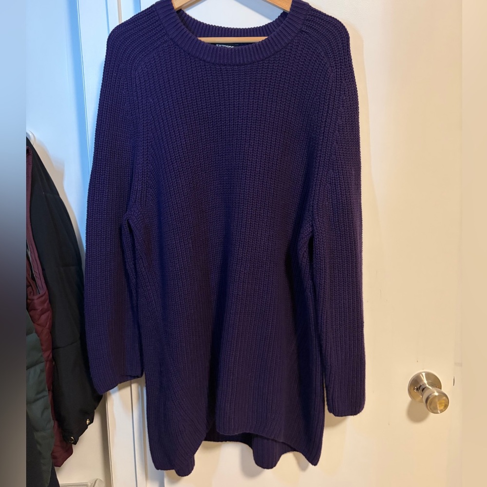 Express Women's Deep Purple Crew Neck Sweater